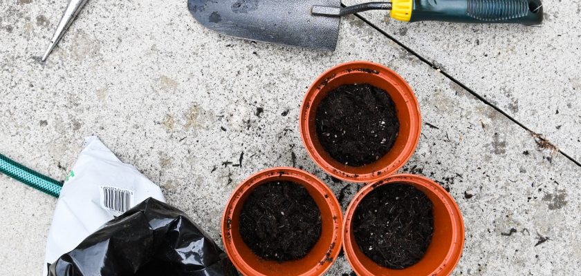 equipment for potting a plants