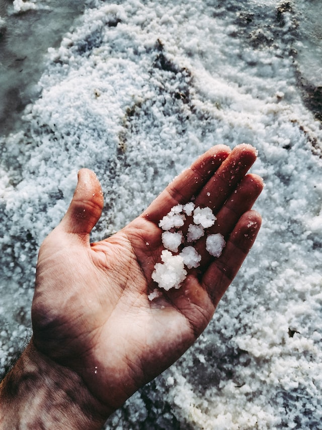 person holding salt in hand