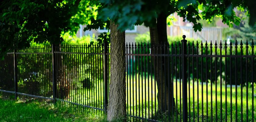 black-metal-fence-near-green-trees-during-daytime